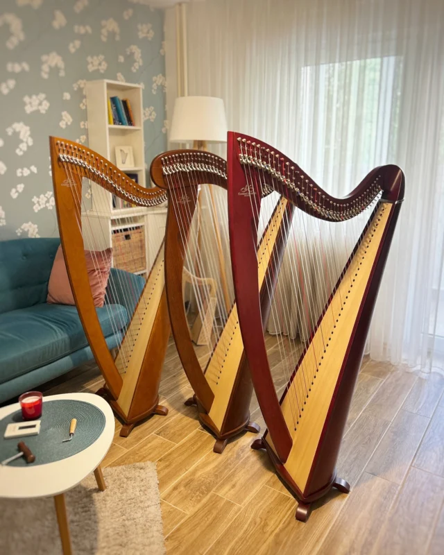 Tri lepotice stigle u Harpomaniu / Three beauties arrived in Harpomania

@camacharps 

#camac #camacharps #lancelot #melusine #harfa #harp #privatemusicschool #privatnicasovi #casovimuzike #radionice #muzika #music #beograd #edukacija #education #deca #kids #harpomania #harplessonsbelgrade #kreativno #hobi #slobodnovreme #art #onlinelessons #nastavanadaljinu